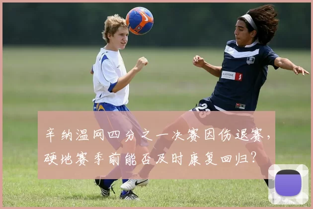 辛纳温网四分之一决赛因伤退赛，硬地赛季前能否及时康复回归？