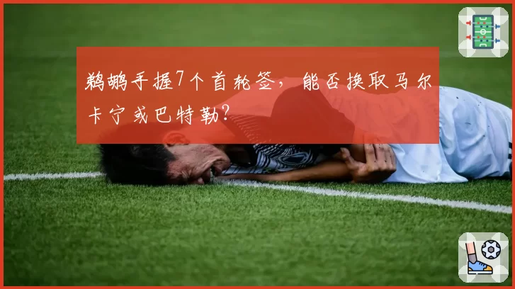 鹈鹕手握7个首轮签，能否换取马尔卡宁或巴特勒？