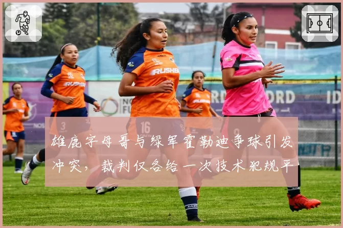 雄鹿字母哥与绿军霍勒迪争球引发冲突,裁判仅各给一次技术犯规平息事态